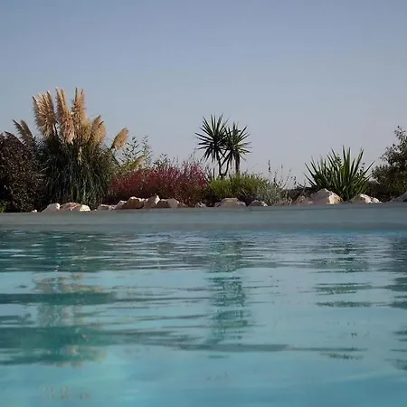 Trullo Martinese Casa vacanze *